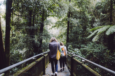 Rear view of couple walking on footbridge in forest