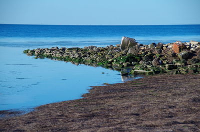 Scenic view of sea against clear blue sky