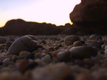 Surface level of pebble beach