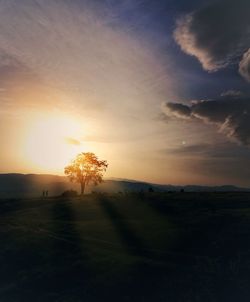 Silhouette trees on landscape against sky during sunset