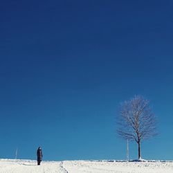 Bare tree on field against clear blue sky