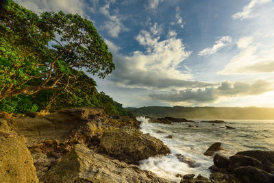 Scenic view of sea against sky