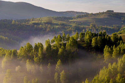 Scenic view of trees and mountains against sky