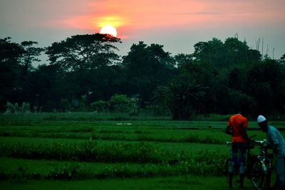 Rear view of people in farm against sky during sunset