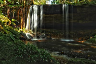Scenic view of waterfall in forest