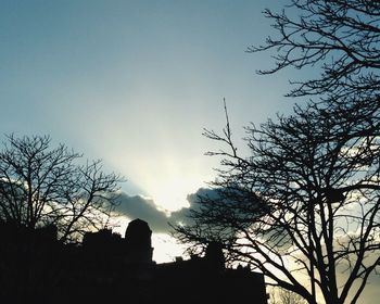 Low angle view of bare tree against sky