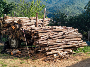 Big wood cut and stacked