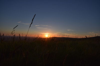 Scenic view of field against sky during sunset