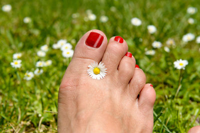 Low section of woman with flower on field