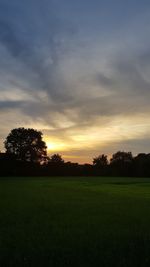 Silhouette trees on field against sky at sunset