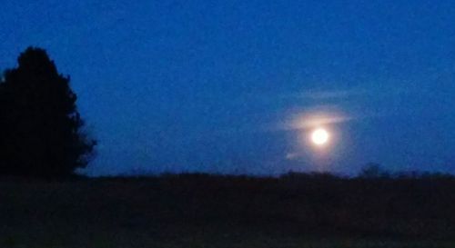 Low angle view of moon against blue sky at night