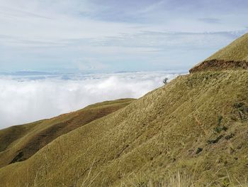 Scenic view of land against sky