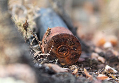 Close-up of rusty chain on field