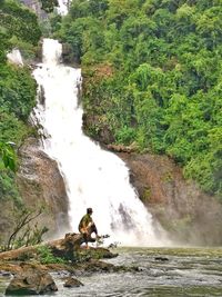 Scenic view of waterfall in forest