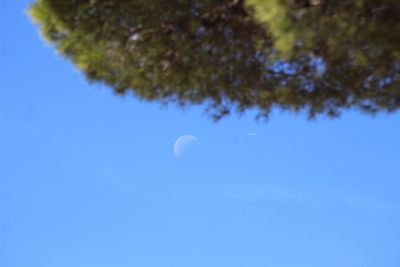 Low angle view of moon in blue sky