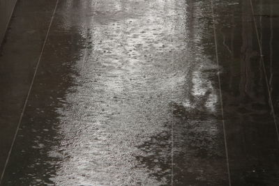 View of trees in forest during winter