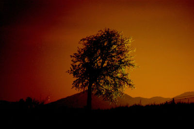 Silhouette tree on field against romantic sky at sunset