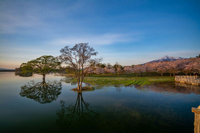 Scenic view of lake against sky