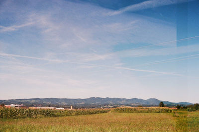 Scenic view of field against sky