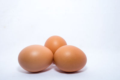 Close-up of eggs against white background