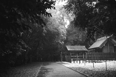 Footpath amidst trees and buildings