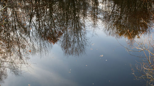 Reflection of trees in lake against sky