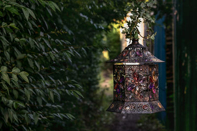 Close-up of lantern hanging in park