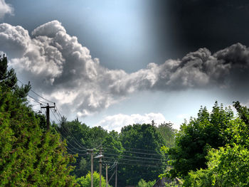 Low angle view of trees against cloudy sky