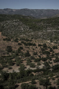 High angle view of land against sky