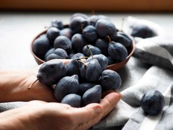 The hands of a senior woman are holding large autumn plums against the background of a bowl of plums