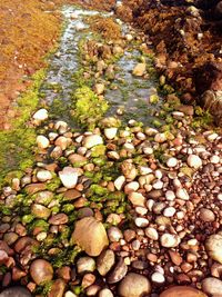 Stones on rocks