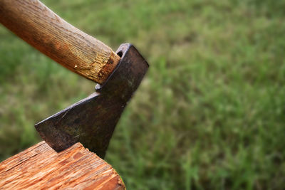 Close-up of log on tree stump