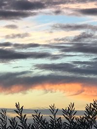 Low angle view of silhouette palm trees against dramatic sky