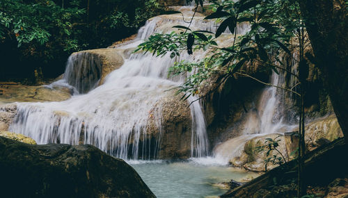 Scenic view of waterfall in forest