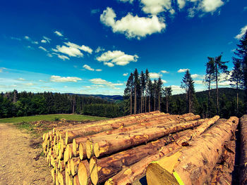 Scenic view of landscape against sky