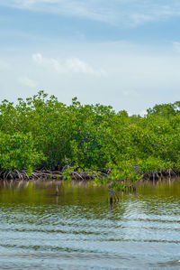 Scenic view of lake against sky