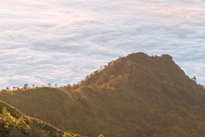 Low angle view of mountain against sky