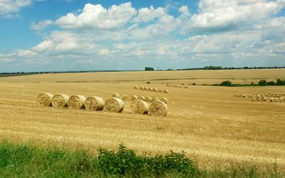 Hay bales on landscape against the sky