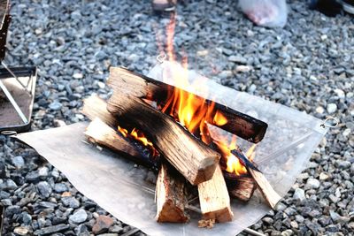 Bonfire on wooden log