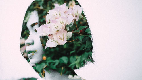 Close-up of white flowering plant