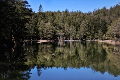 Reflection of trees in lake against sky