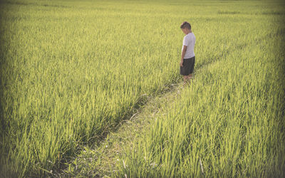 Boy standing on grassy field
