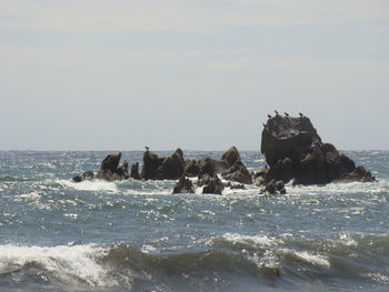 Scenic view of sea against sky