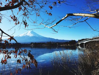 Scenic view of lake against clear blue sky