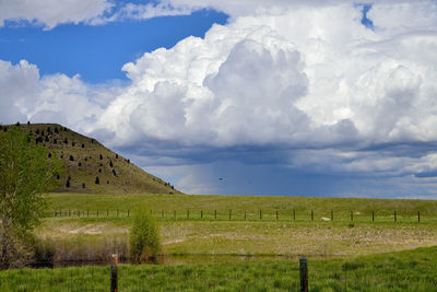 Scenic view of landscape against sky