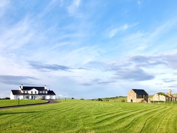 Scenic view of agricultural field against sky