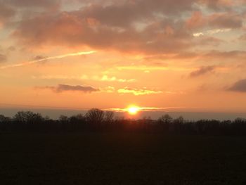 Silhouette trees on field against orange sky