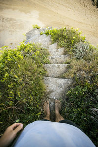 Low section of man on grass