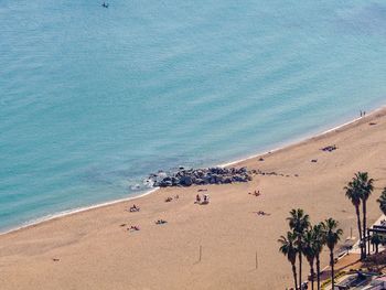 High angle view of palm trees on beach