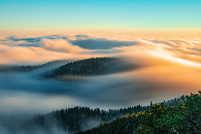 Scenic view of trees against sky during sunset